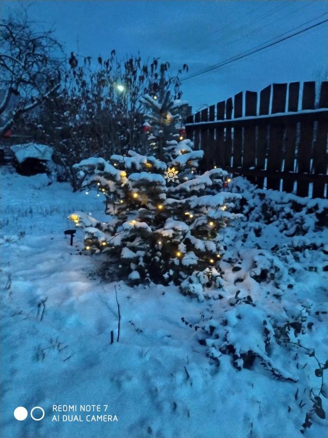 Котедж Кресаня Микуличин Екстериор снимка